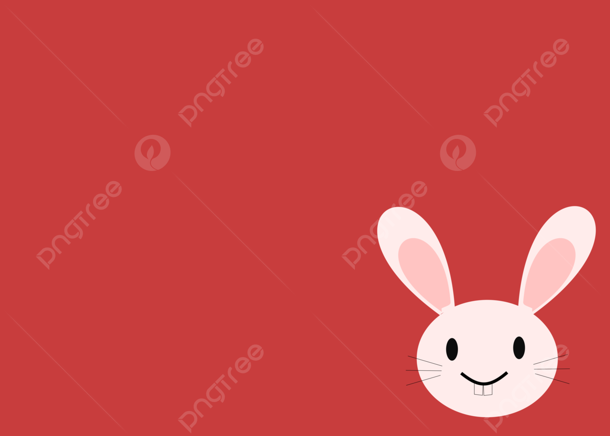 Cute Bunny Rabbits Wallpapers