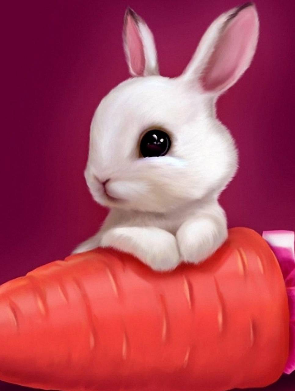 Cute Bunny Rabbits Wallpapers