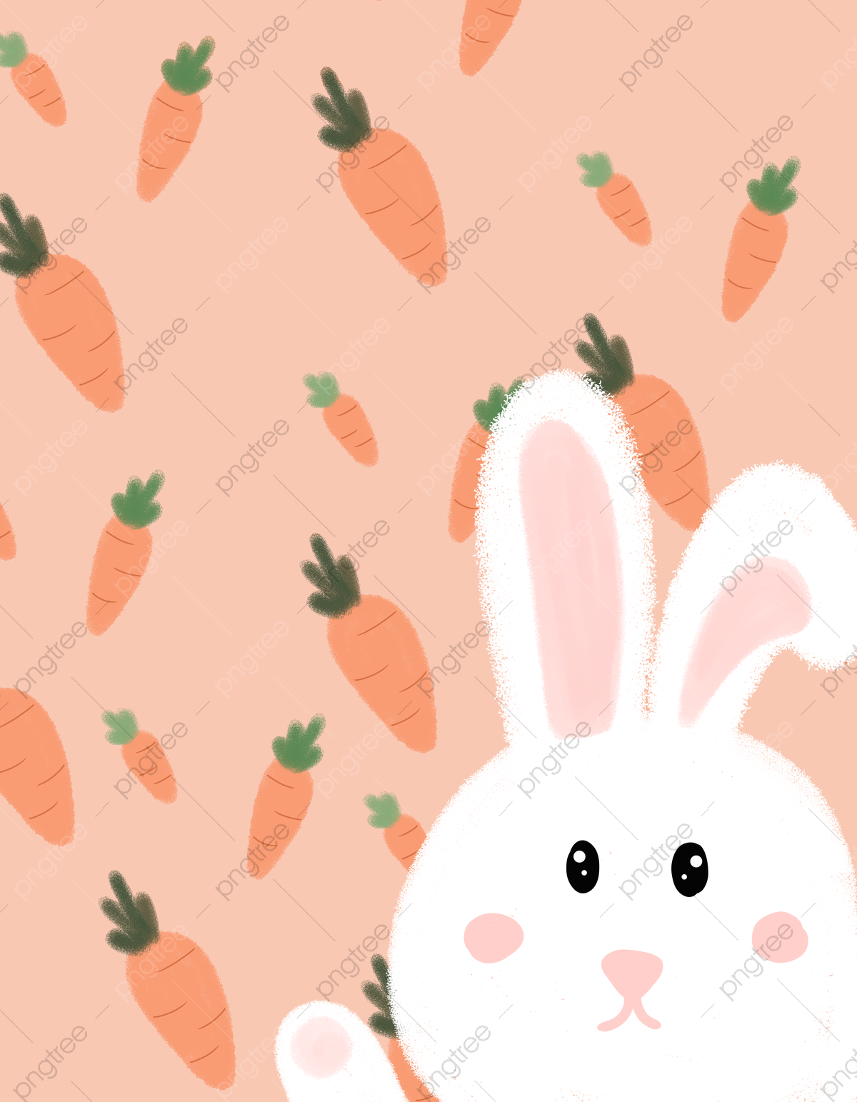 Cute Bunny Rabbits Wallpapers