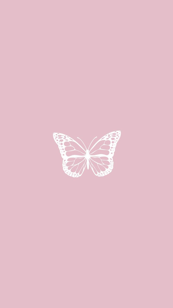 Cute Butterfly Baby PinkWallpapers