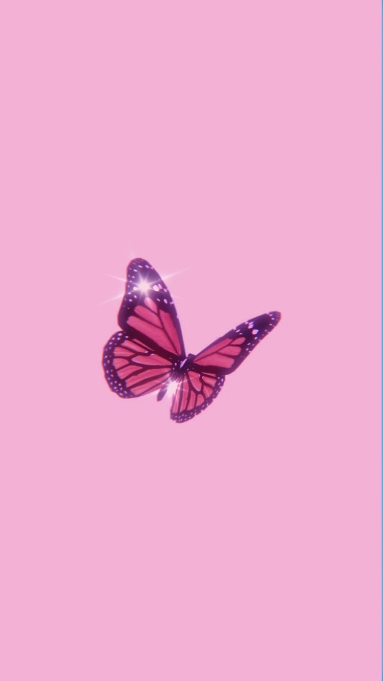 Cute Butterfly Baby PinkWallpapers