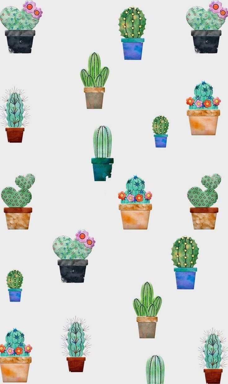Cute Cactus Wallpapers