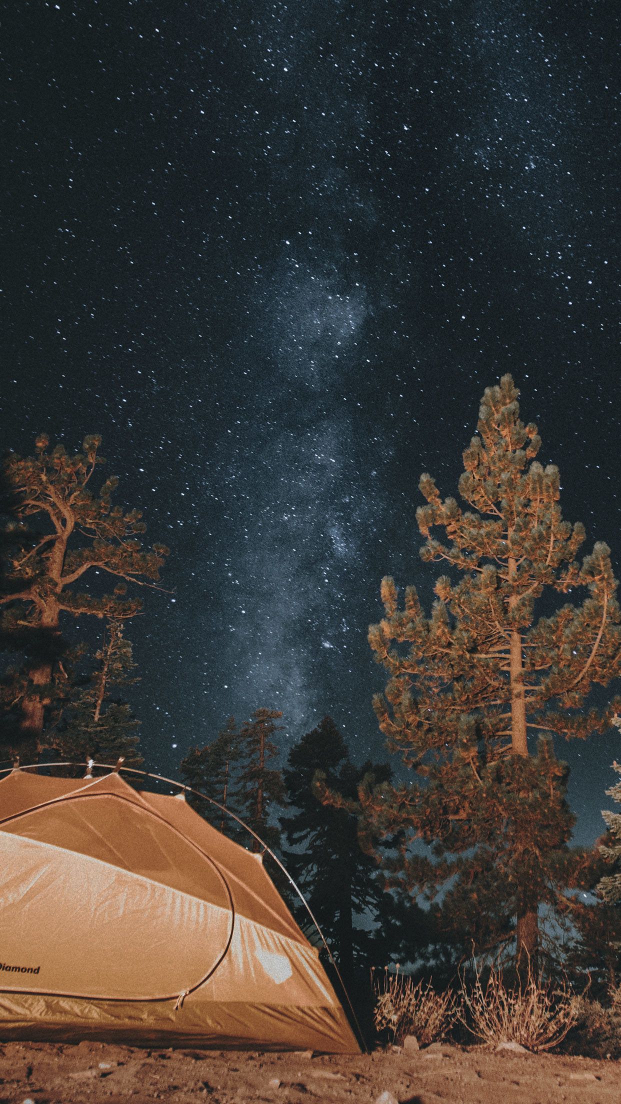 Cute Camping Wallpapers