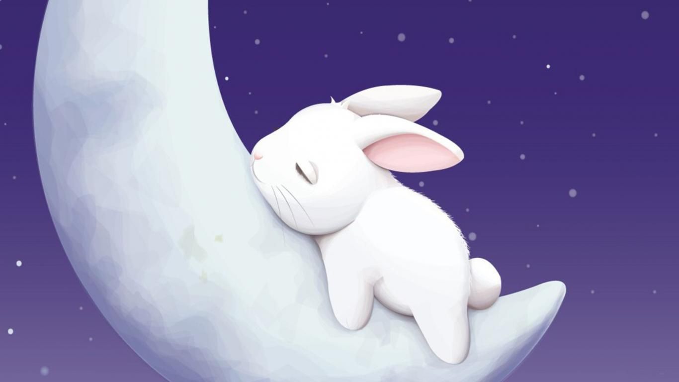 Cute Cartoon Bunny Wallpapers