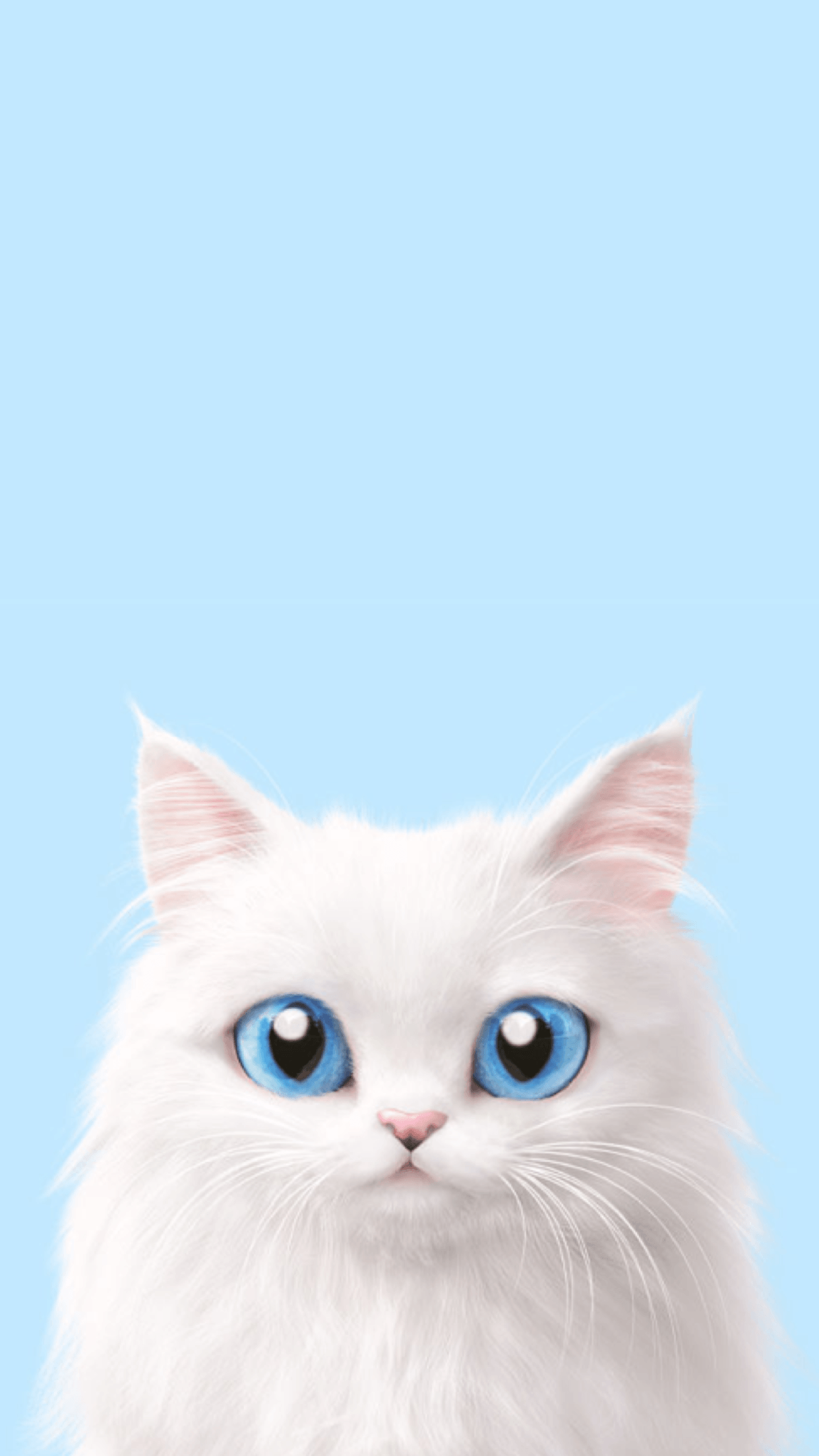 Cute Cat Iphone Wallpapers