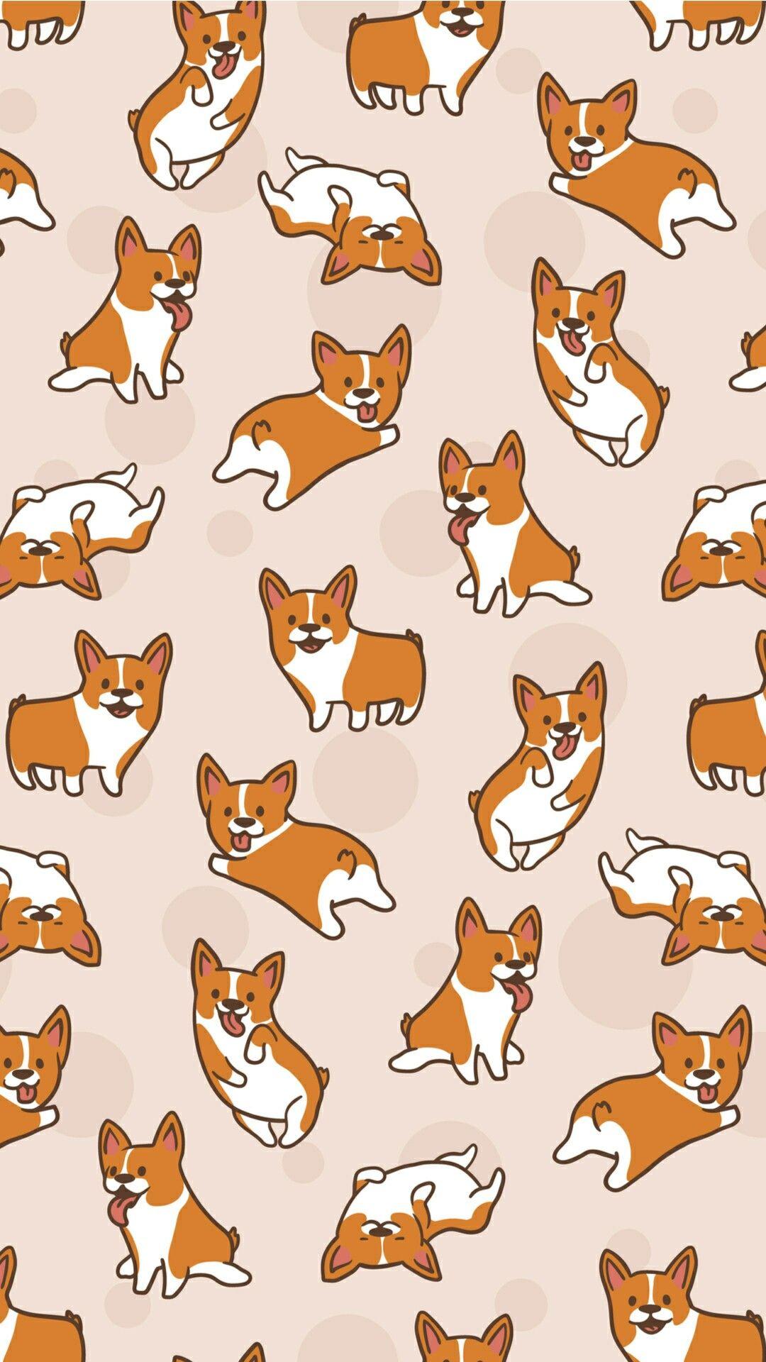 Cute CorgiWallpapers