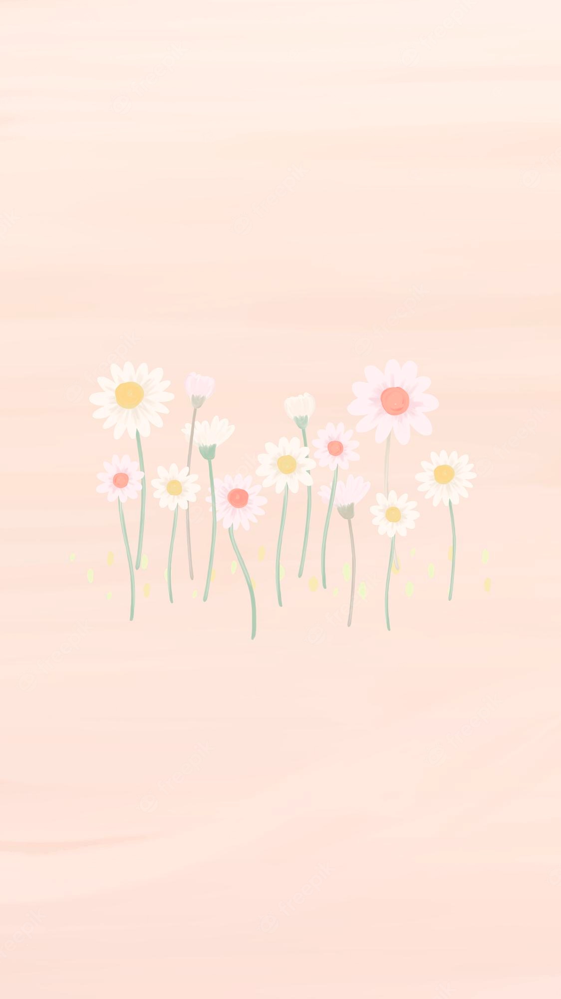 Cute DaisyWallpapers