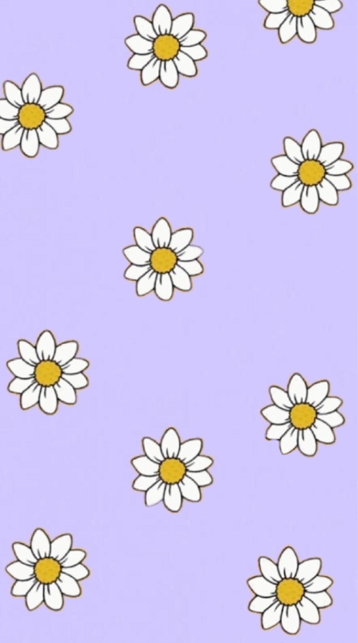 Cute DaisyWallpapers