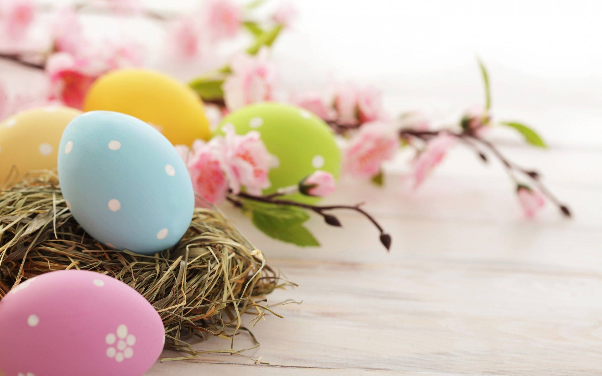 Cute Easter Wallpapers