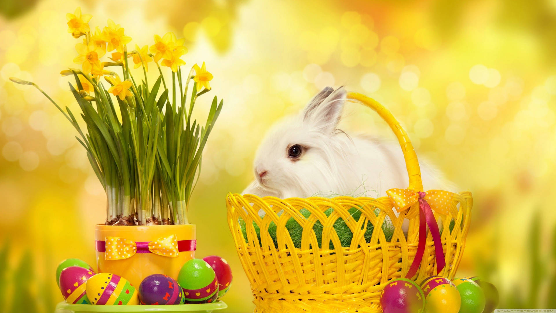 Cute Easter  Wallpapers