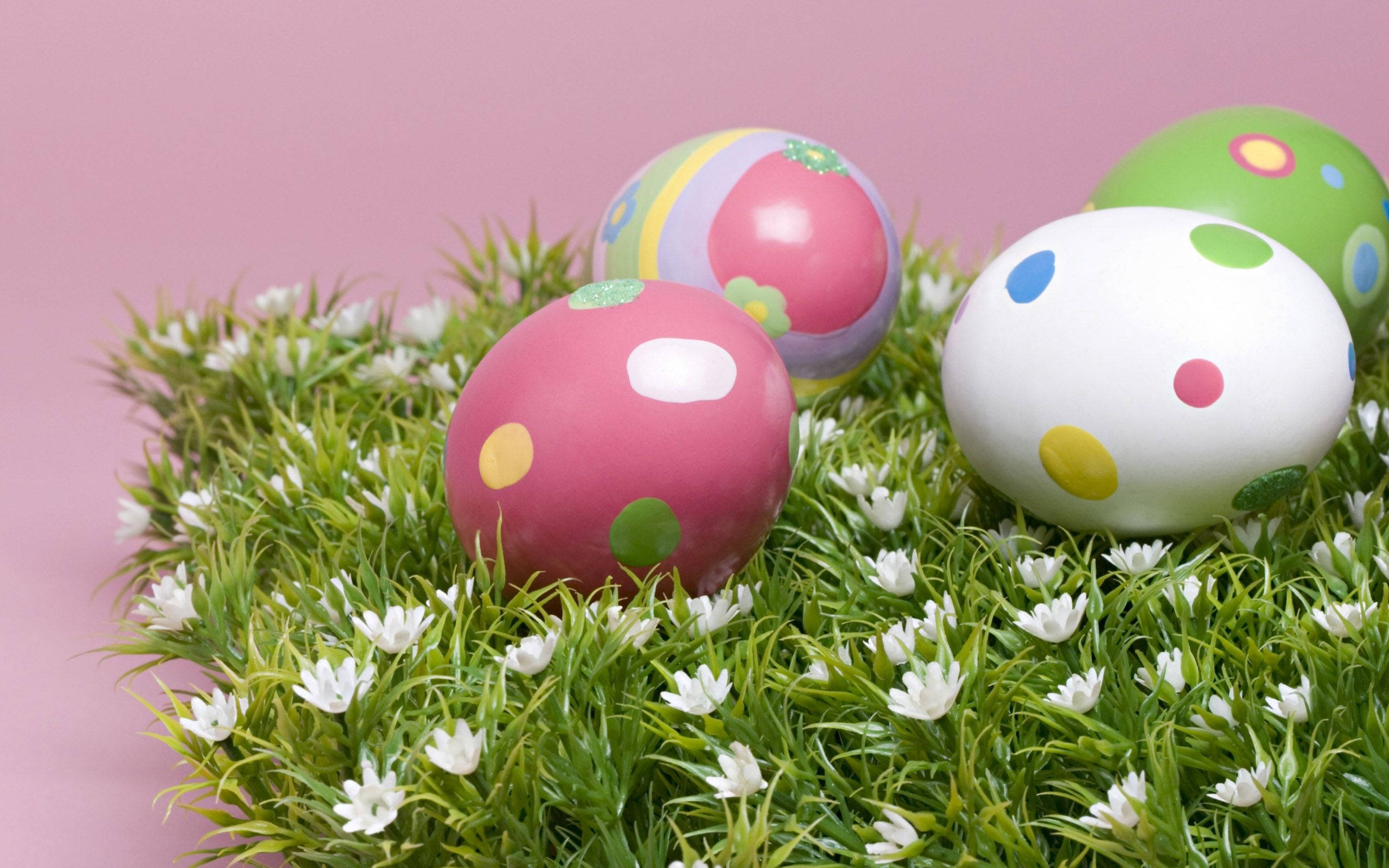 Cute Easter  Wallpapers