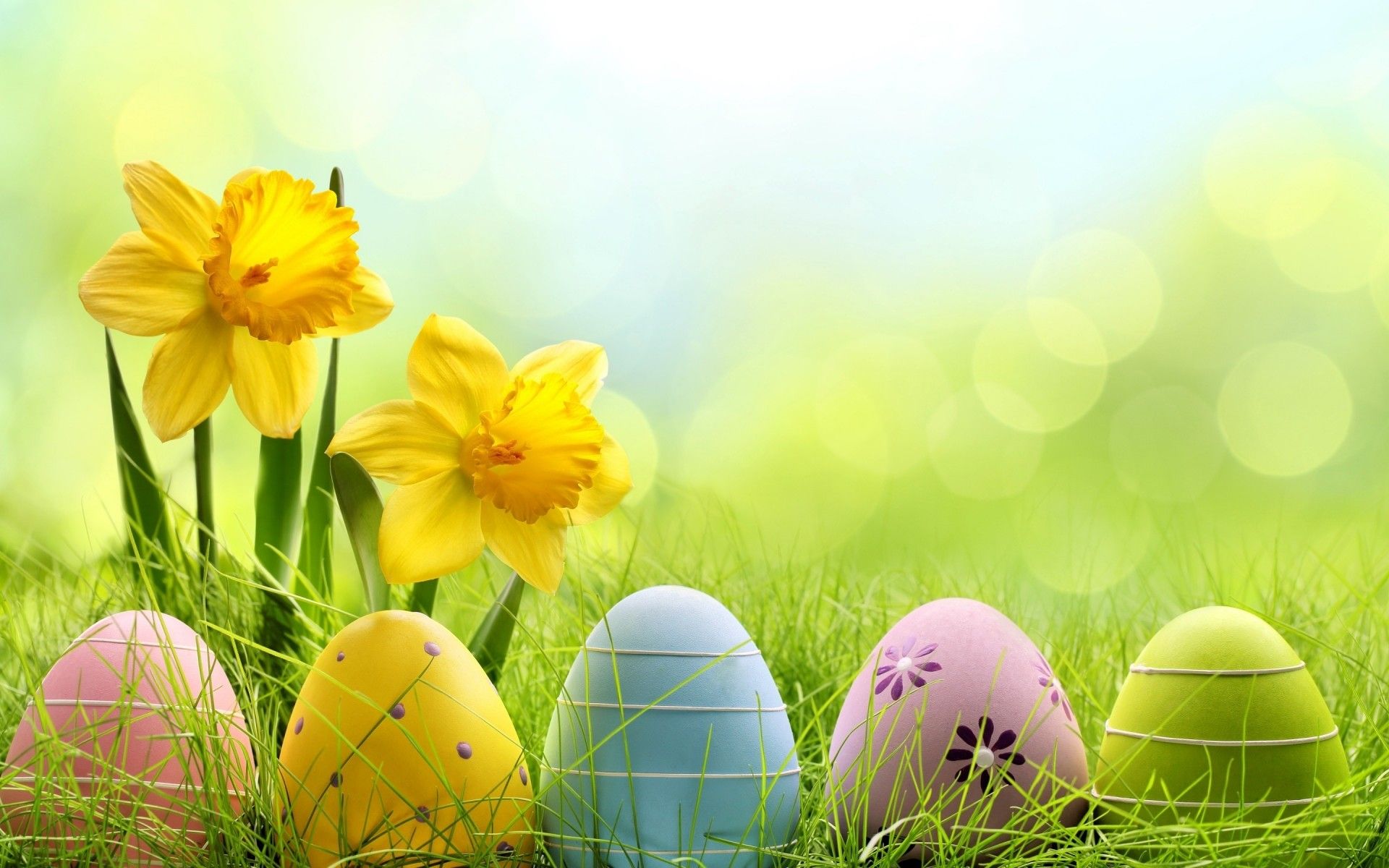 Cute Easter  Wallpapers