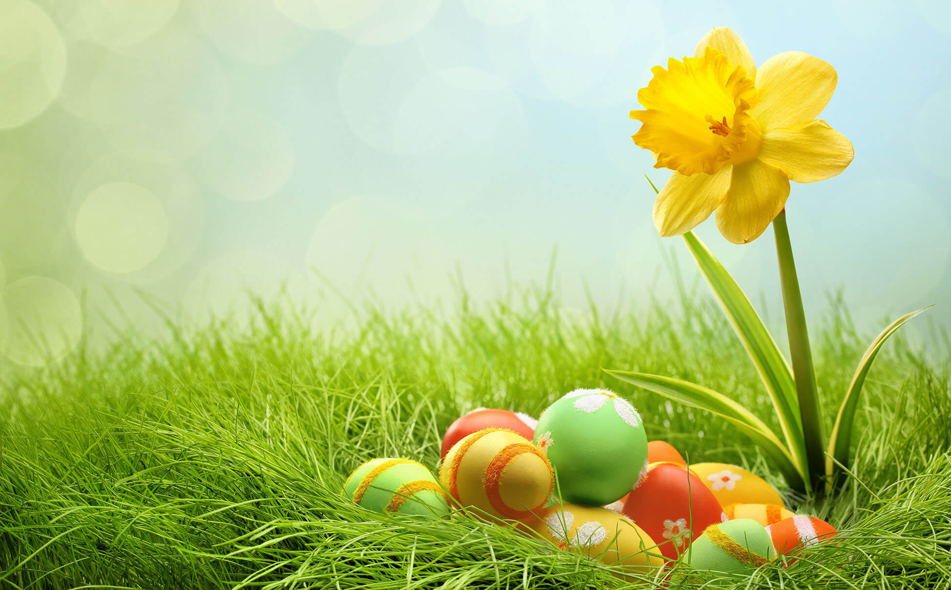 Cute Easter  Wallpapers