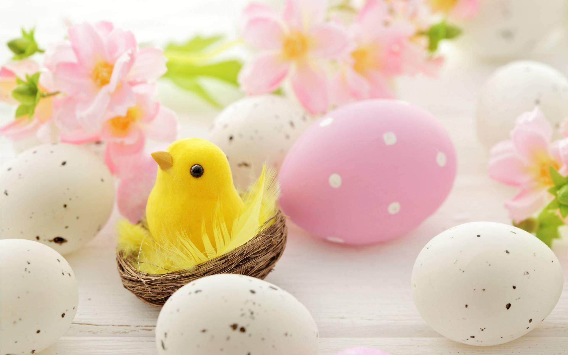 Cute Easter  Wallpapers