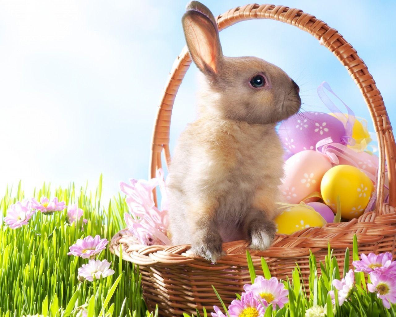 Cute Easter  Wallpapers