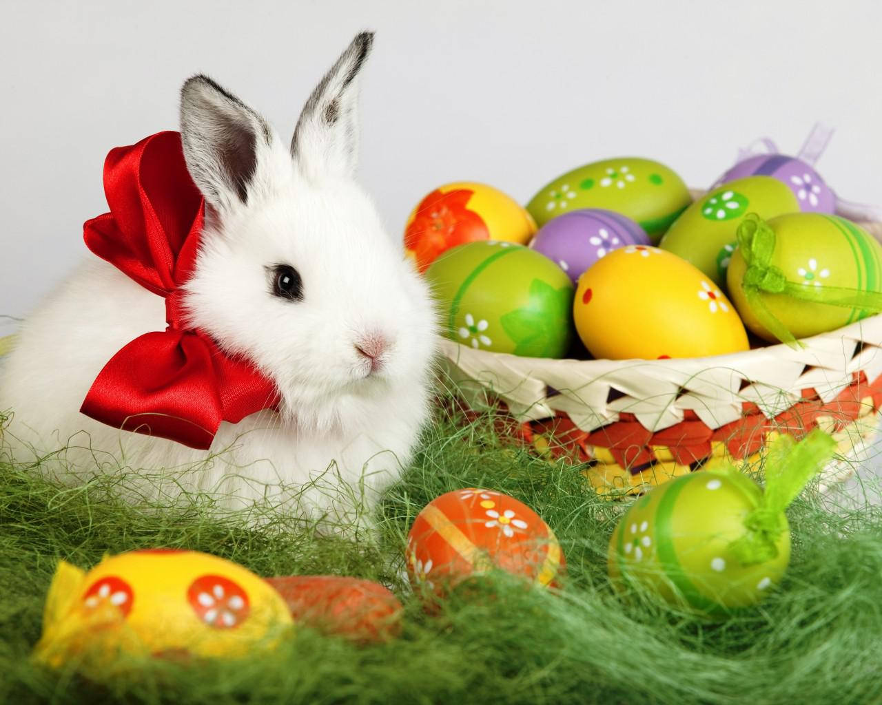 Cute Easter  Wallpapers