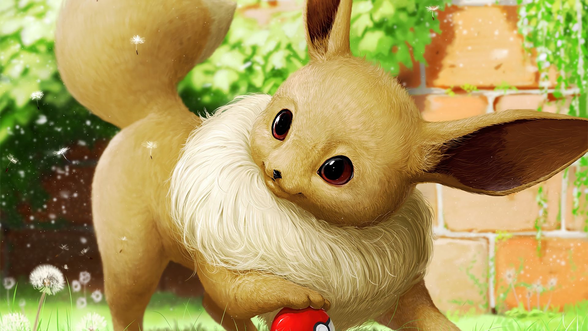 Cute Eevee Wallpapers