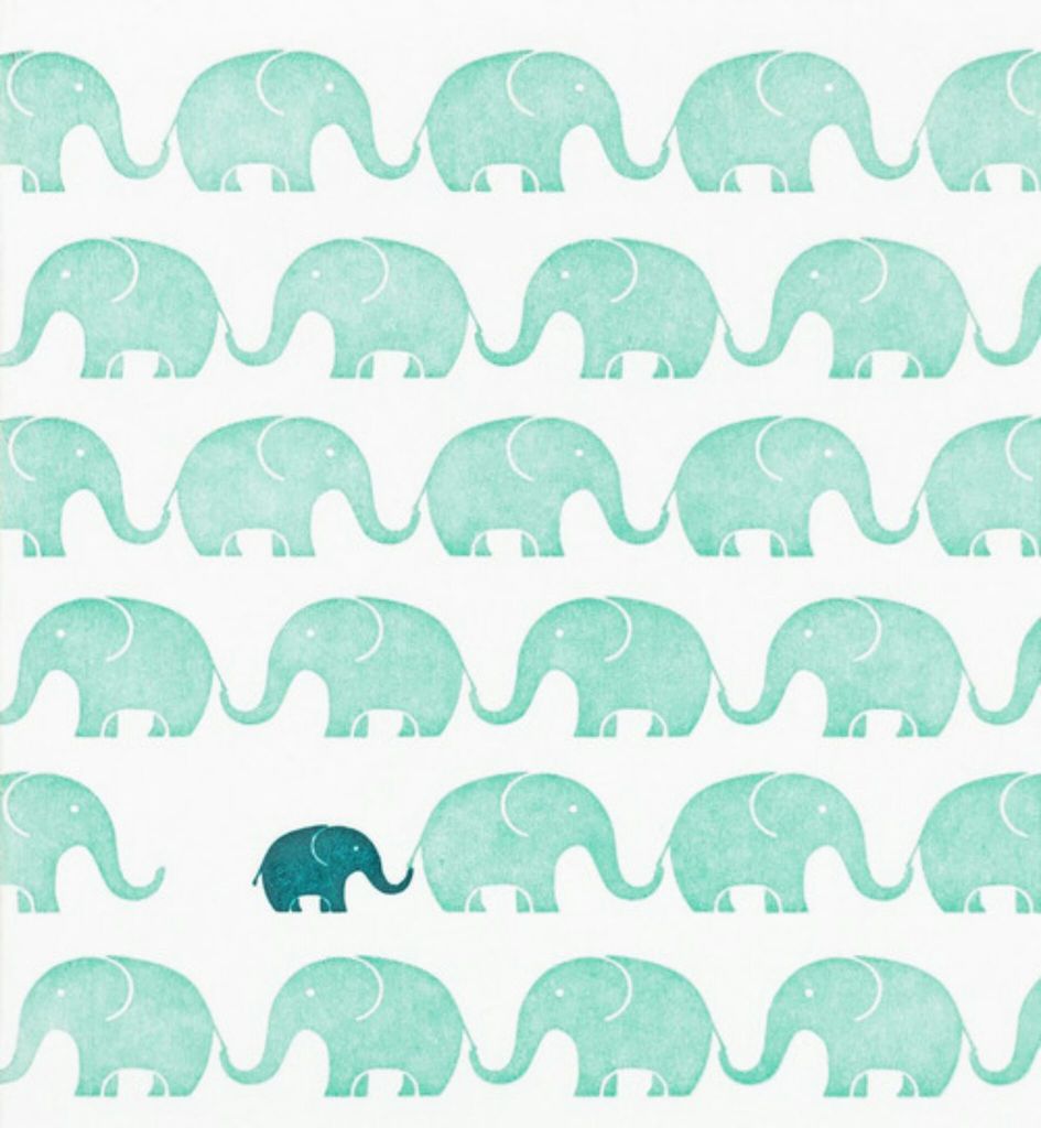 Cute ElephantWallpapers