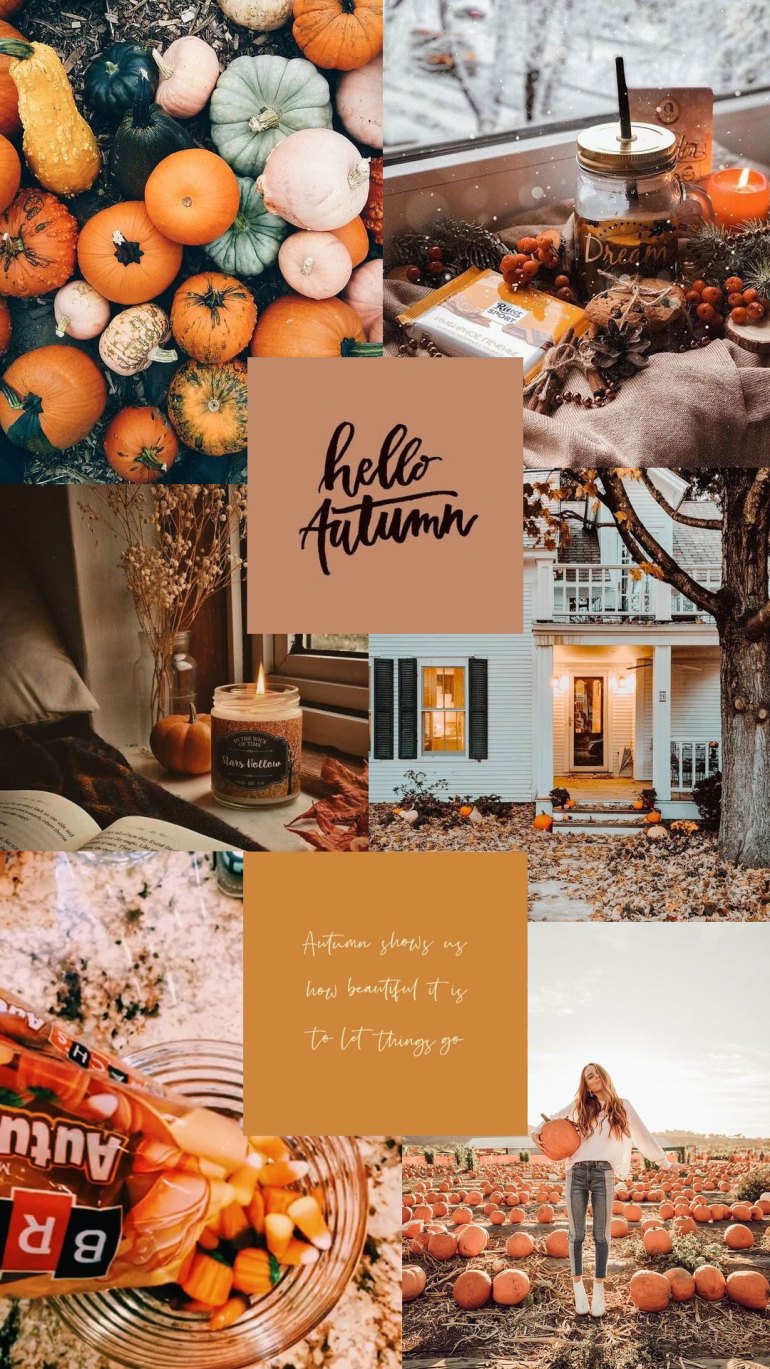 Cute Fall Wallpapers