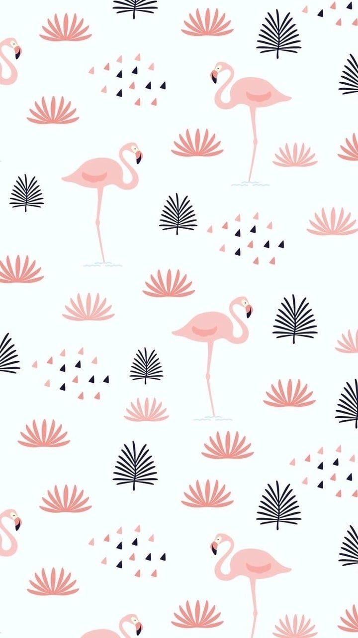 Cute Flamingo Wallpapers