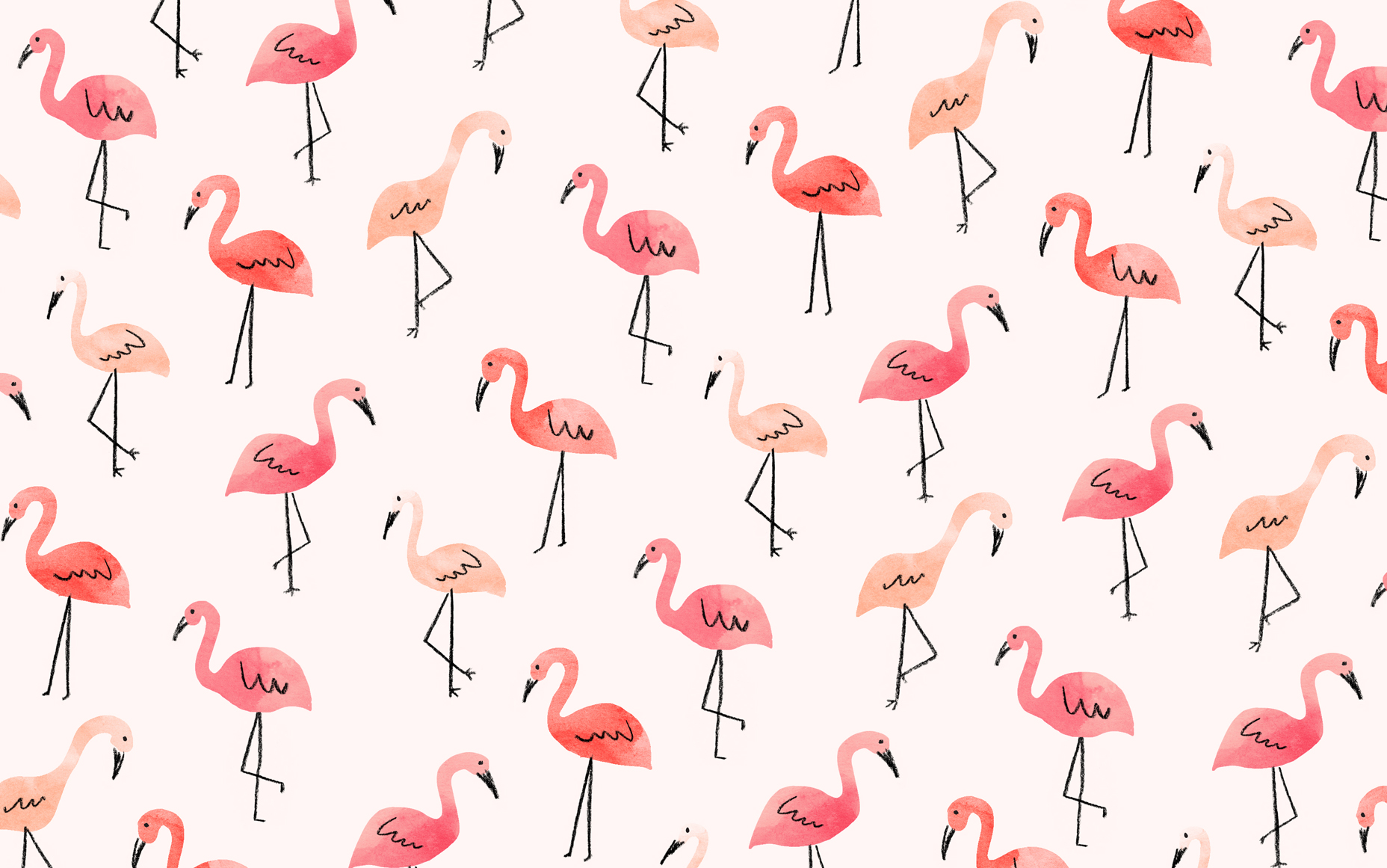 Cute Flamingo Wallpapers