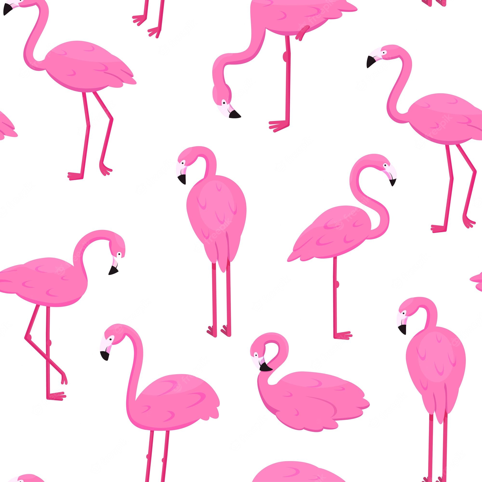 Cute Flamingo Wallpapers