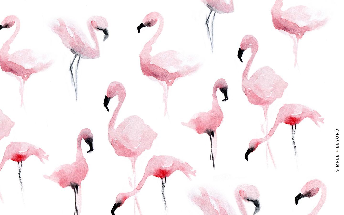 Cute Flamingo Wallpapers