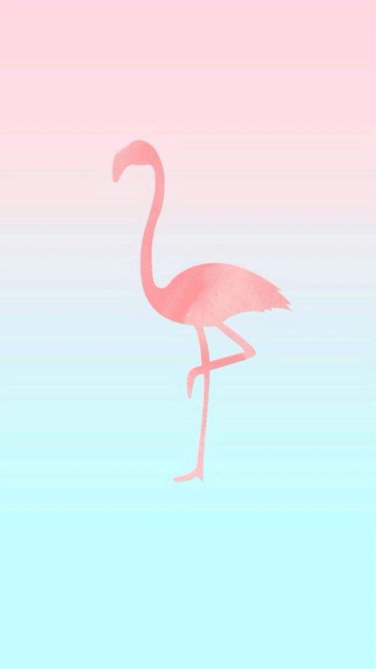 Cute Flamingo Wallpapers