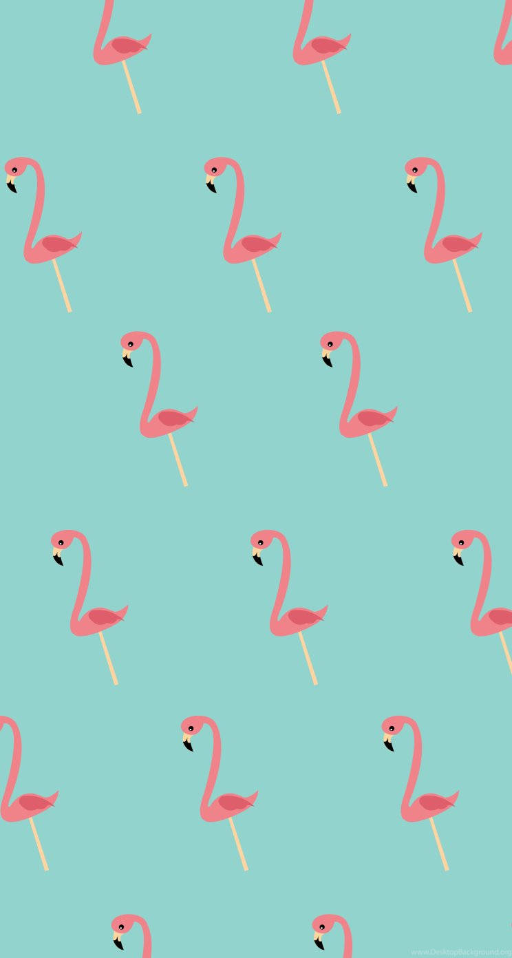 Cute Flamingo Wallpapers