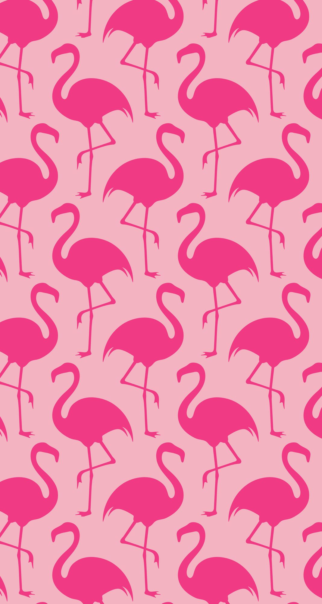 Cute Flamingo Wallpapers