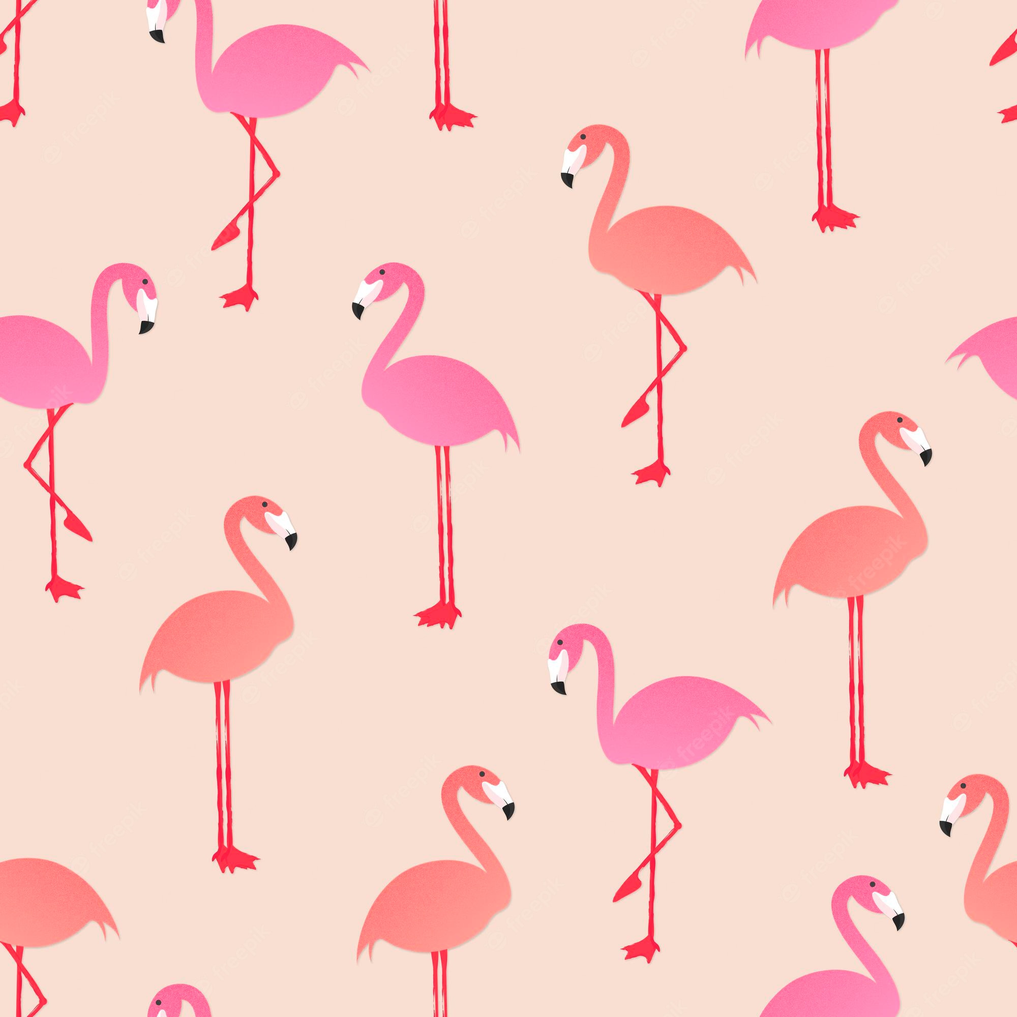 Cute Flamingo Wallpapers