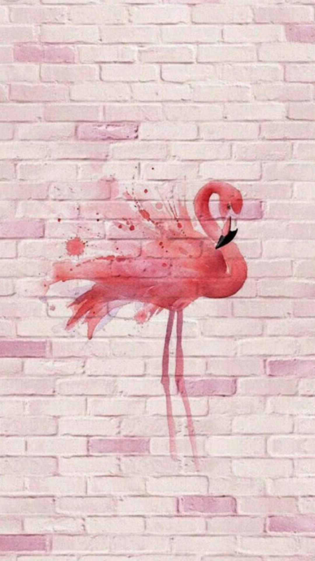 Cute Flamingo Wallpapers