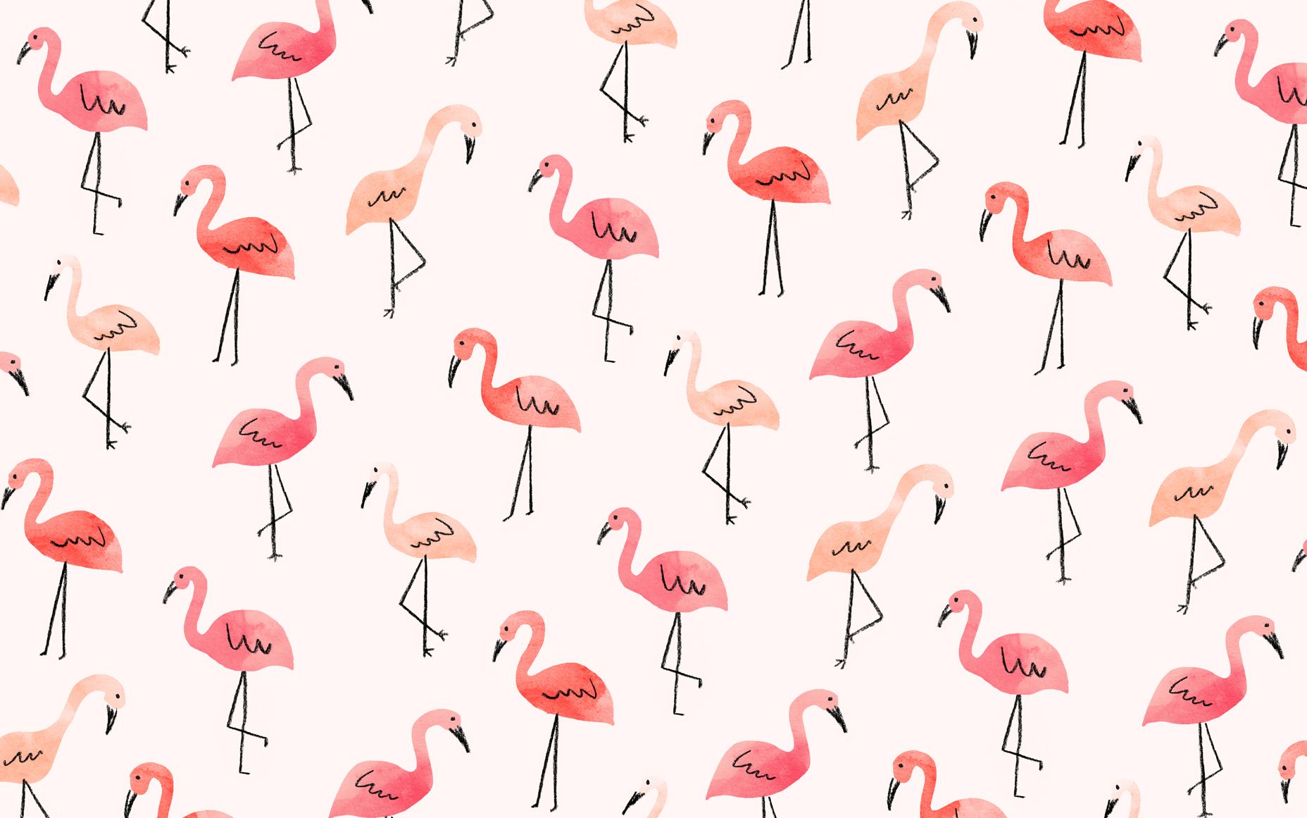 Cute FlamingoWallpapers