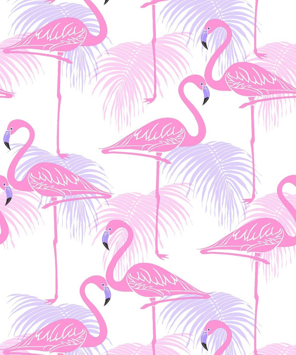 Cute FlamingoWallpapers