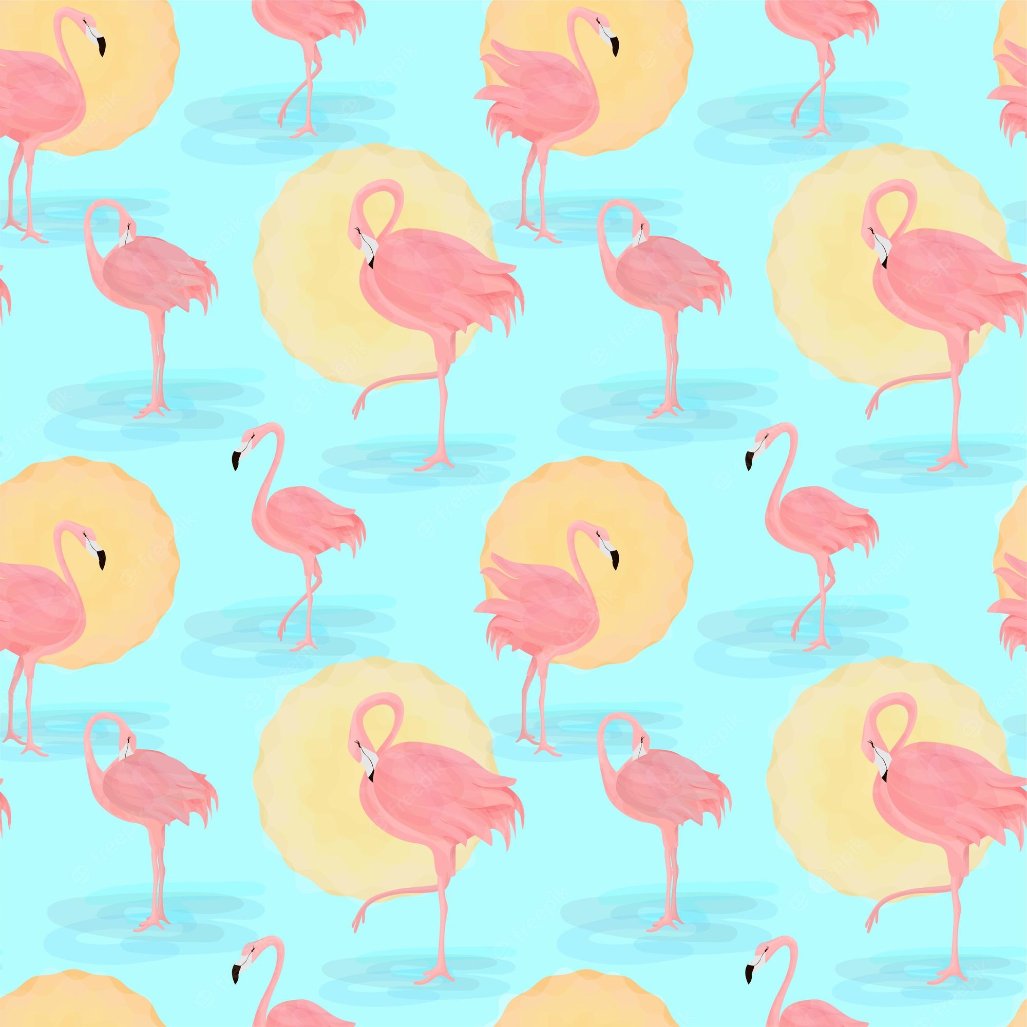 Cute FlamingoWallpapers
