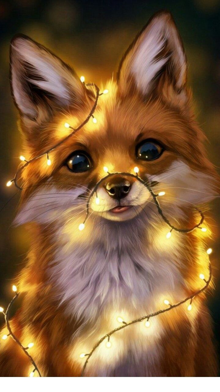 Cute Fox Drawing Wallpapers