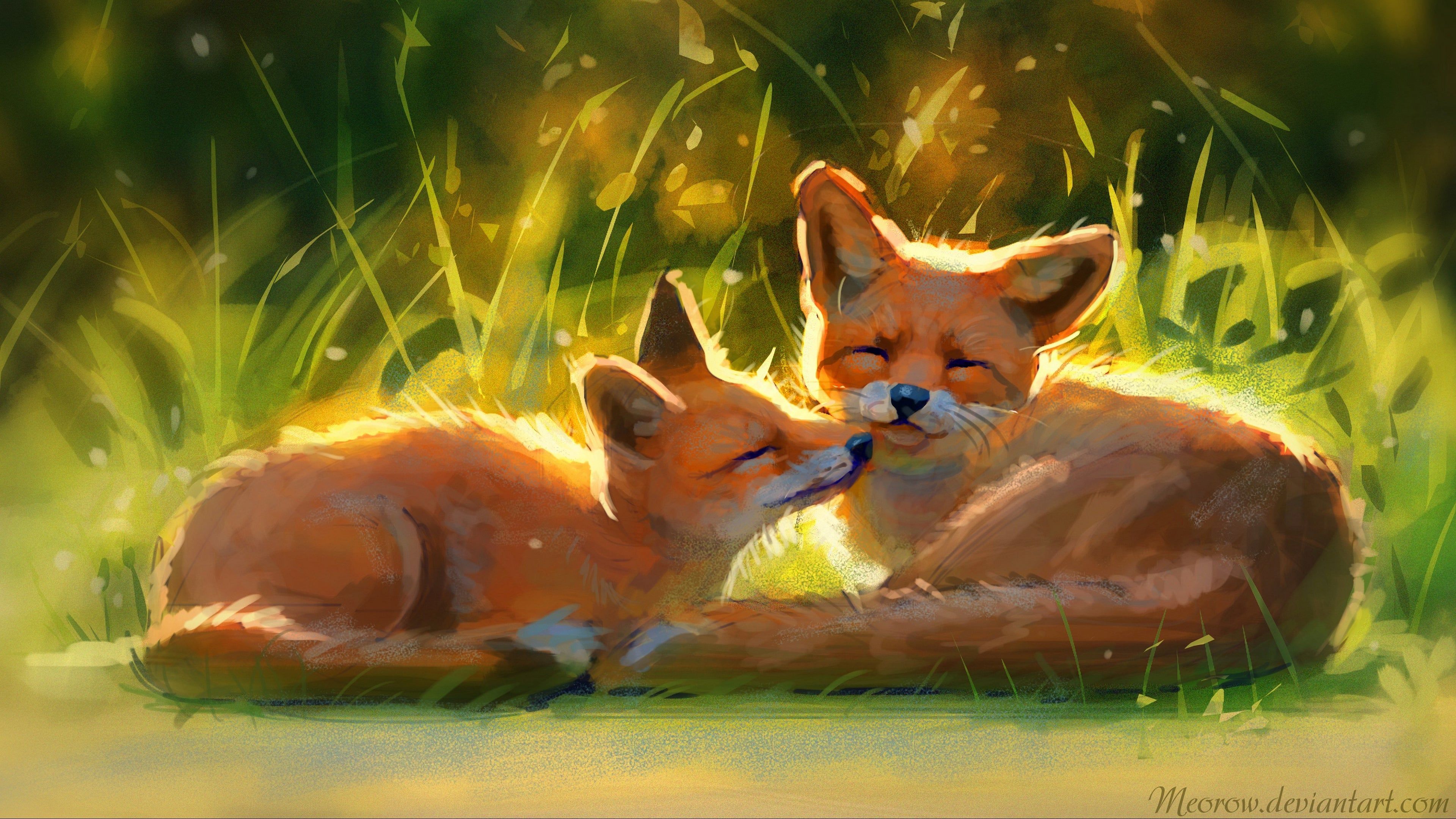 Cute FoxWallpapers