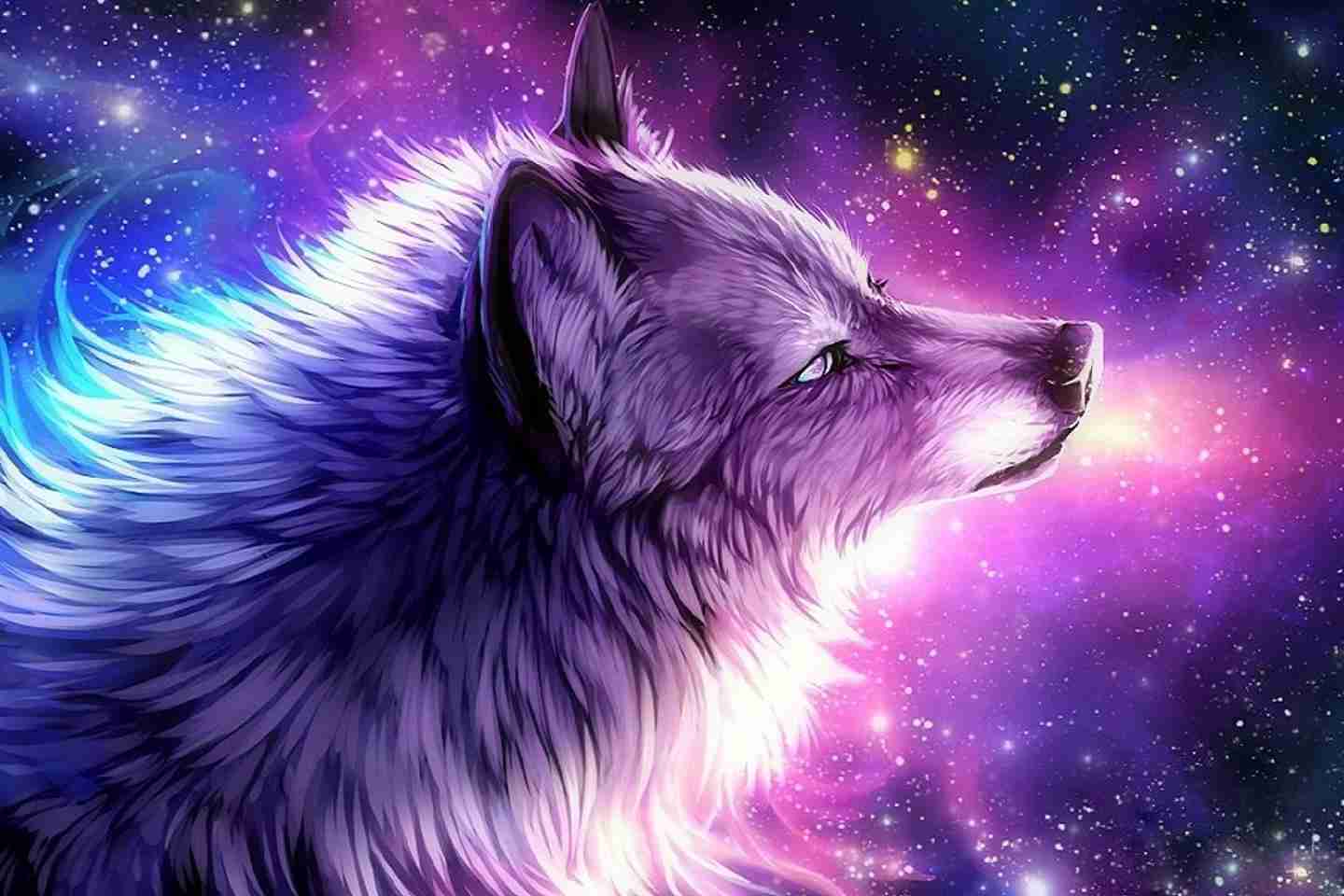 Cute Galaxy Wolf Wallpapers