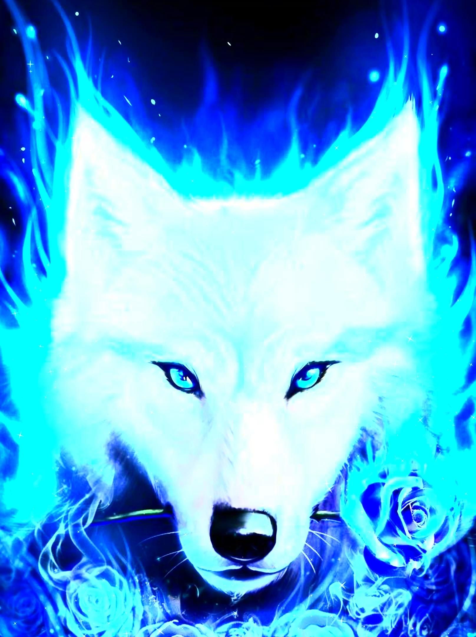 Cute Galaxy Wolf Wallpapers