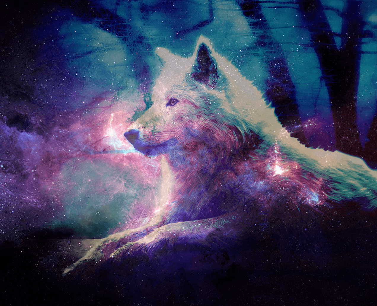 Cute Galaxy Wolf Wallpapers