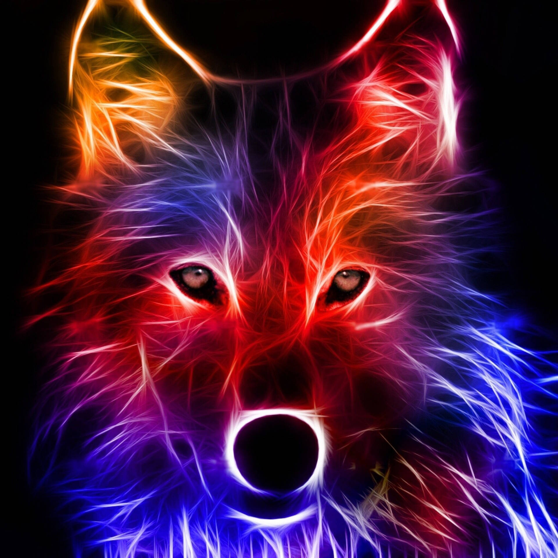 Cute Galaxy Wolf Wallpapers