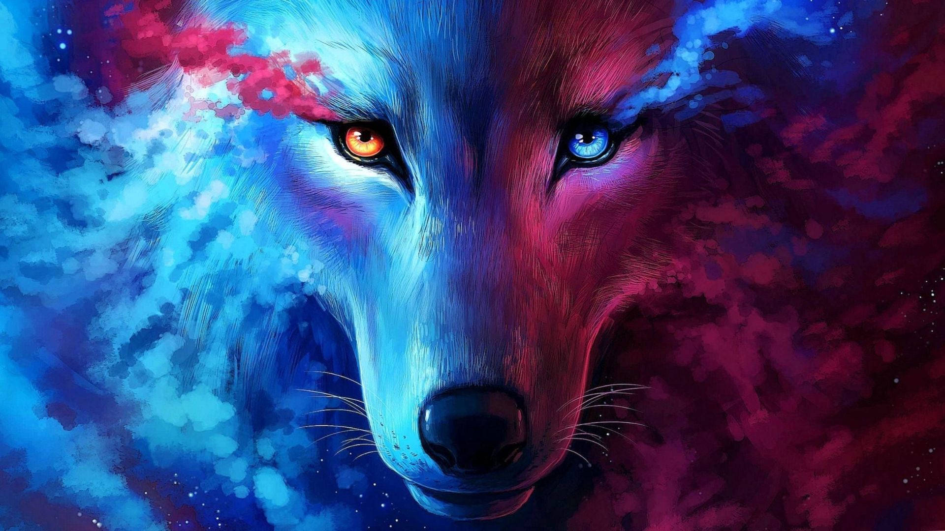 Cute Galaxy Wolf Wallpapers