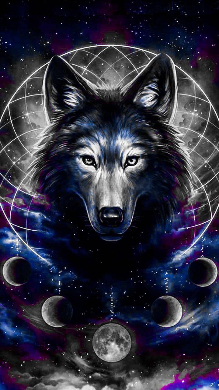 Cute Galaxy Wolf Wallpapers