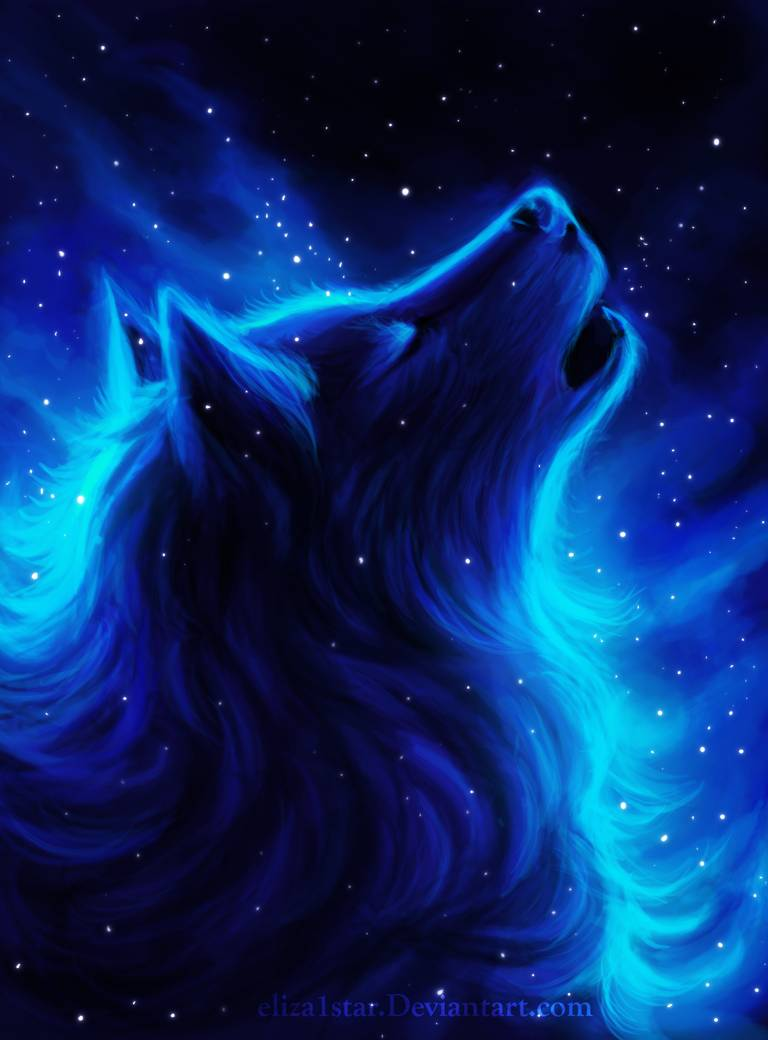 Cute Galaxy Wolf Wallpapers