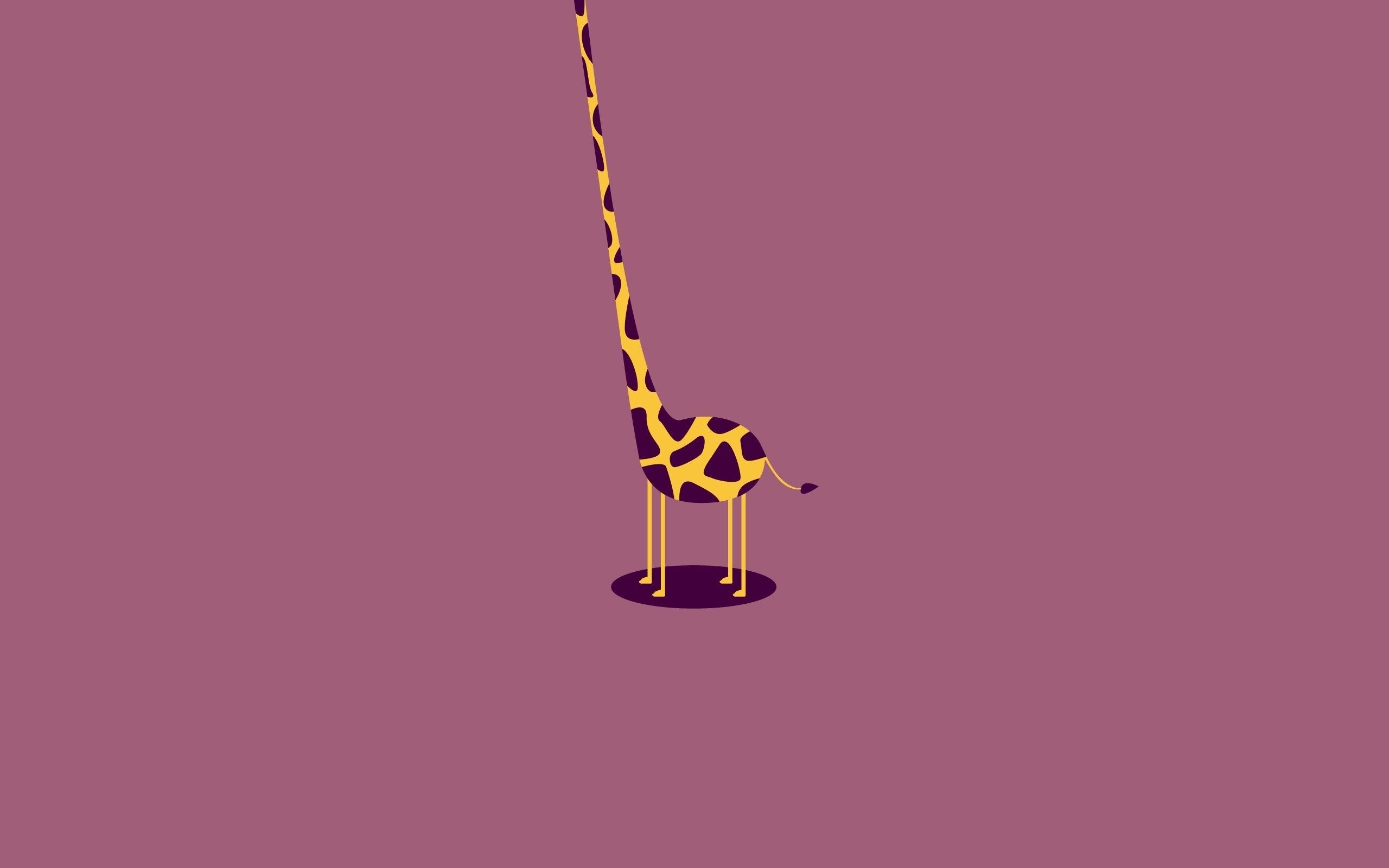 Cute Giraffe IphoneWallpapers