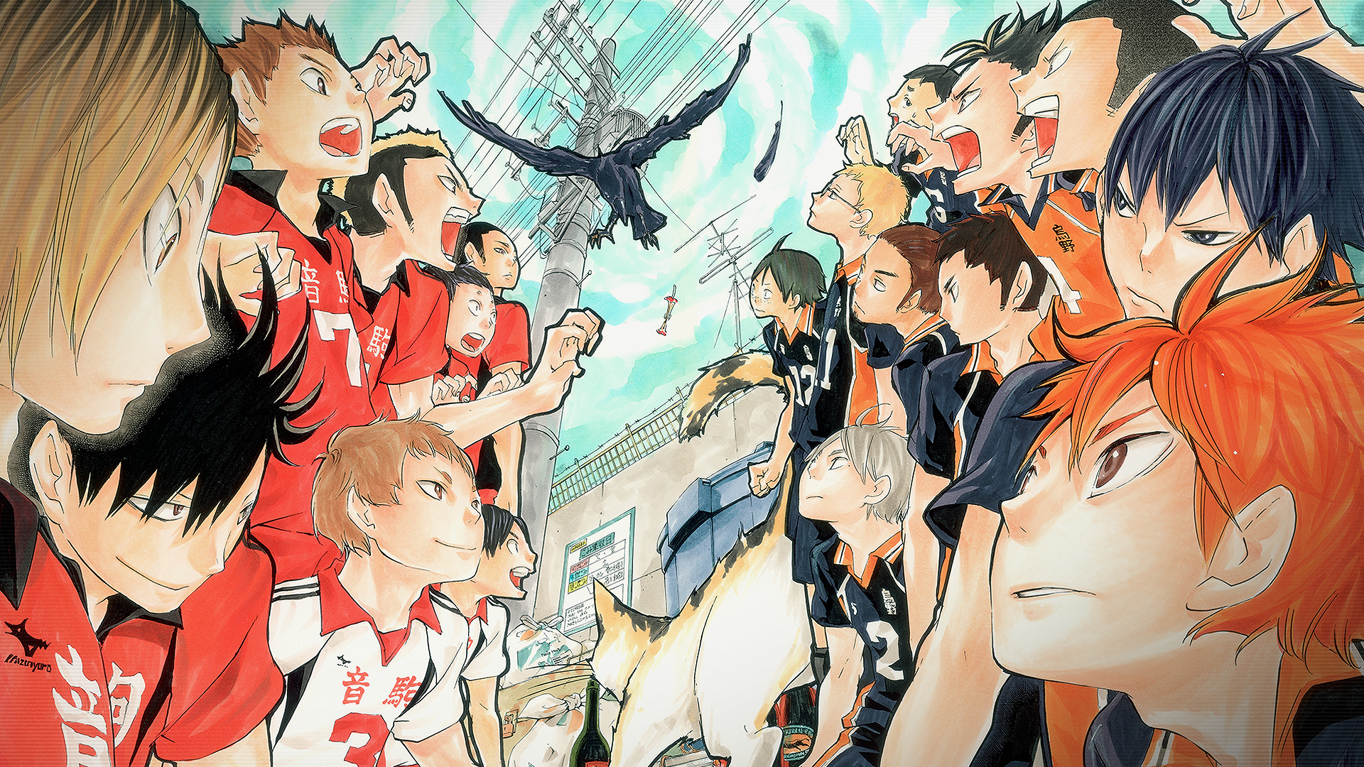 Cute Haikyuu DesktopWallpapers