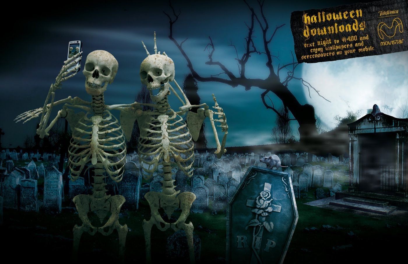 Cute Halloween Skeleton Wallpapers