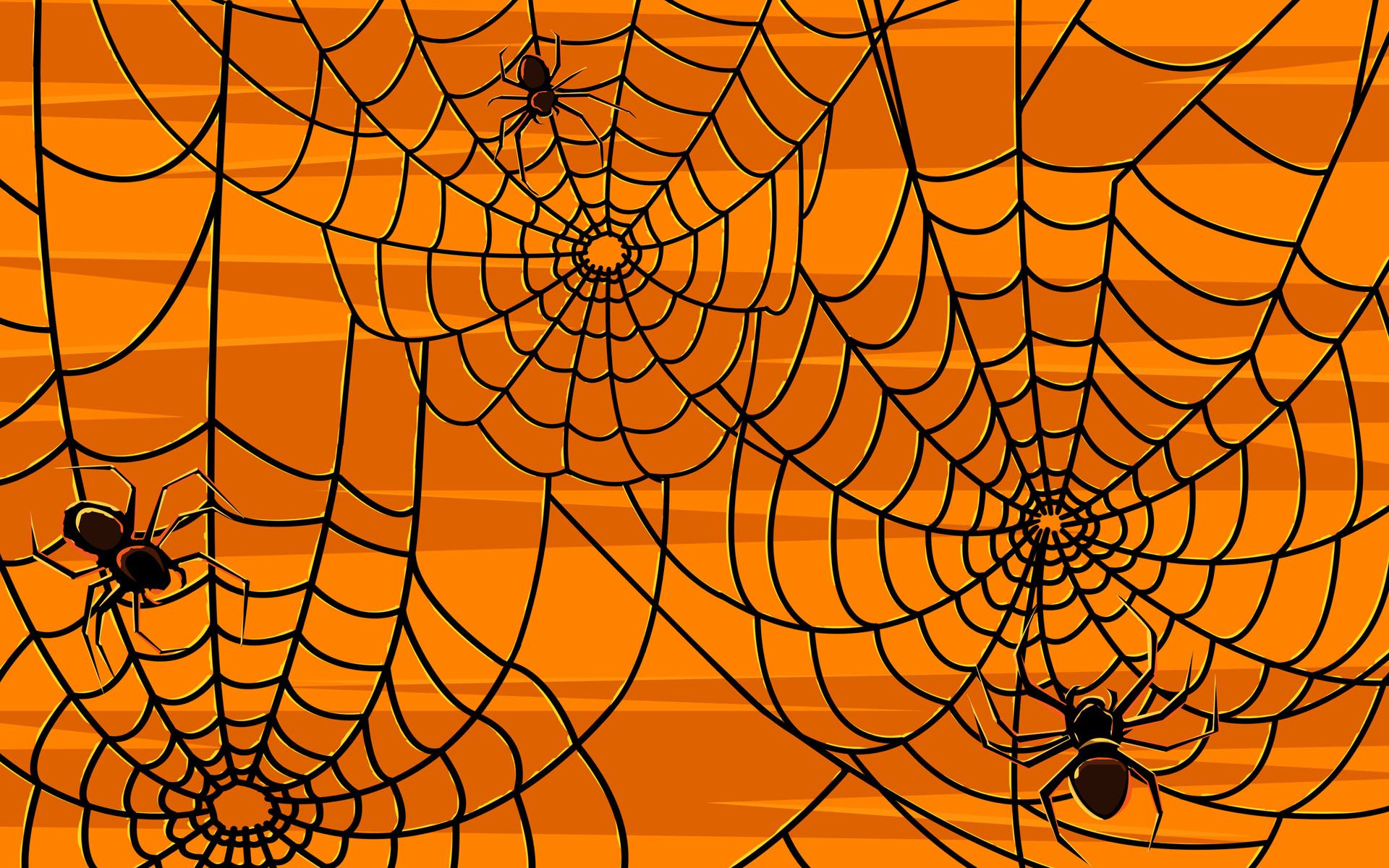 Cute Halloween SpiderWallpapers