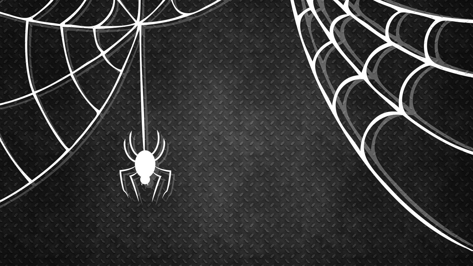 Cute Halloween SpiderWallpapers