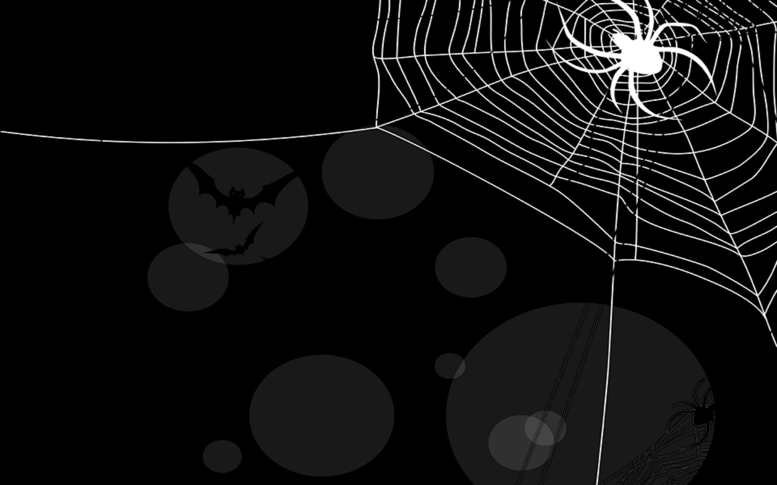 Cute Halloween SpiderWallpapers